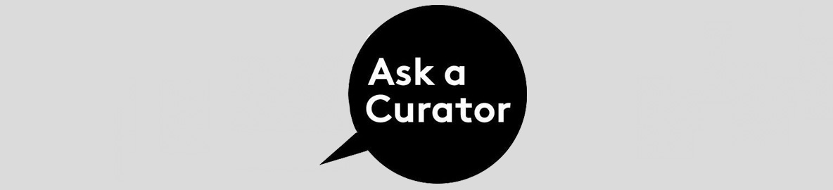 Ask a Curator Day