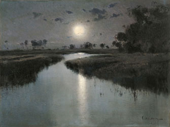 Nocturnal Landscape