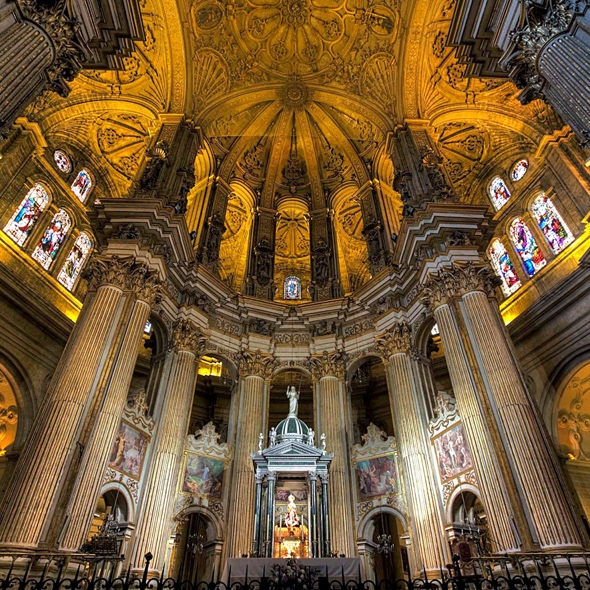 Los Amigos del Museo visitan la Catedral