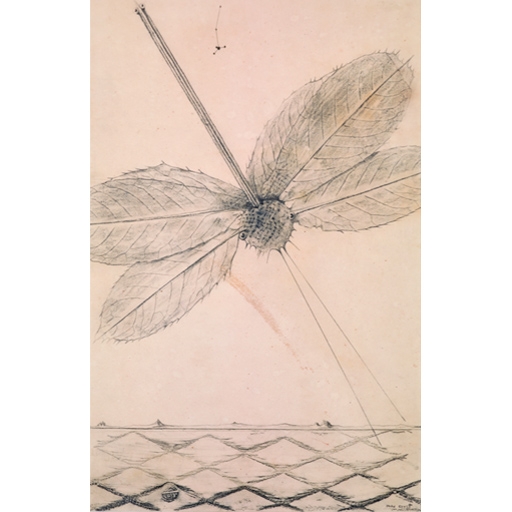 Max Ernst: Historia natural Max Ernst: Historia natural