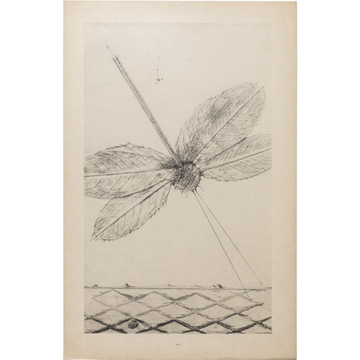 Max Ernst: natural history Max Ernst: natural history