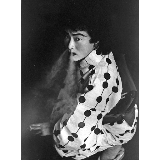 Provocative Materials for Thought Contemporary Japanese Photography. José Luis Soler Vila Collection