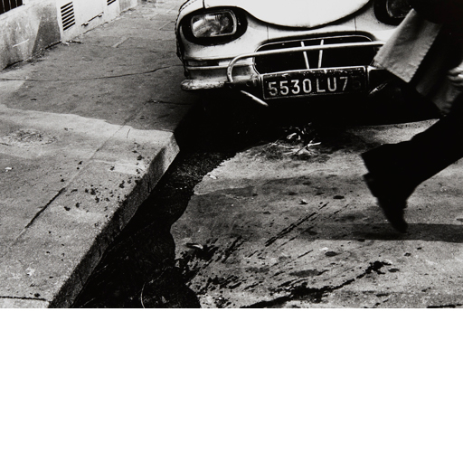 Provocative Materials for Thought Contemporary Japanese Photography. José Luis Soler Vila Collection