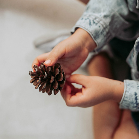 Bebecuentos. ¡Bienvenido otoño! Bebecuentos. ¡Bienvenido otoño!