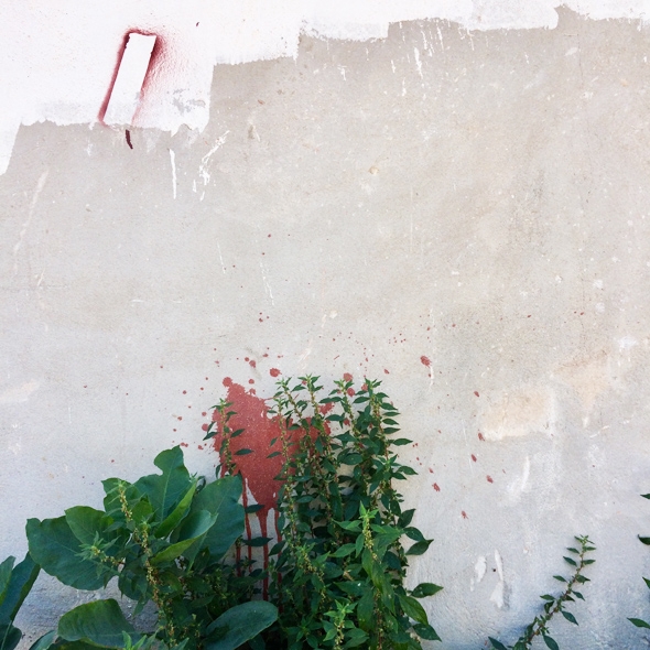 Lugares fértiles. Intervenciones artísticas y ecológicas en el tercer paisaje